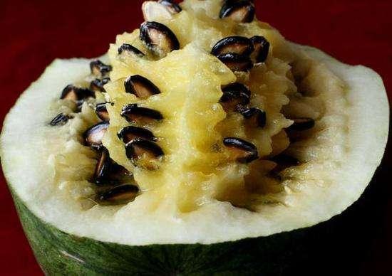 吃瓜后排便的籽是黑的