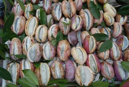 鉴定网络热门八月瓜,网络热门话题背后的神秘果实