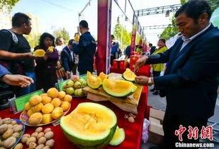 最新热门事件吃瓜缅北,最新热门事件背后的真相与争议