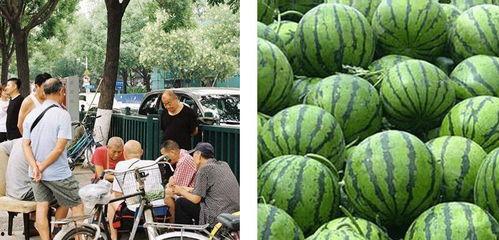 吃瓜点评热门,揭秘热门事件背后的真相与笑料