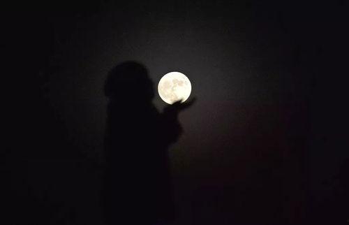 明星网红推荐月亮饮,月色倾城——揭秘明星热爱的月亮饮品魅力