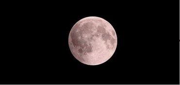 明星网红推荐月亮饮,月色倾城——揭秘明星热爱的月亮饮品魅力