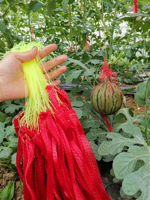 热门今日大瓜,娱乐圈重磅爆料，揭秘明星幕后真相