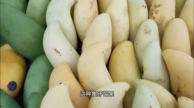 山东今日茭瓜价格行情最新,今日市场动态一览