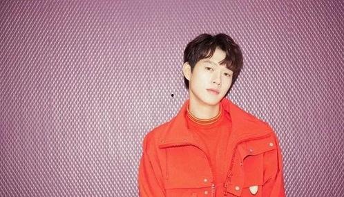 胖乎乎的少年明星网红,从网络红人到人气偶像的蜕变之路