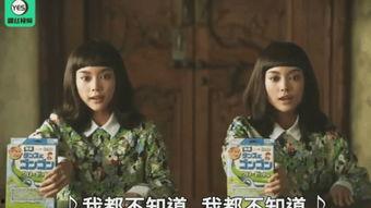 双胞胎电影,命运交织的孪生之谜