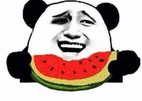 瓜哥吃瓜讲黑科技,黑科技背后的秘密与未来趋势