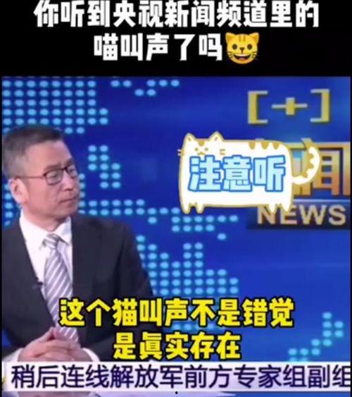 四川今日吃瓜新闻直播,直播带你揭秘热点事件背后的故事