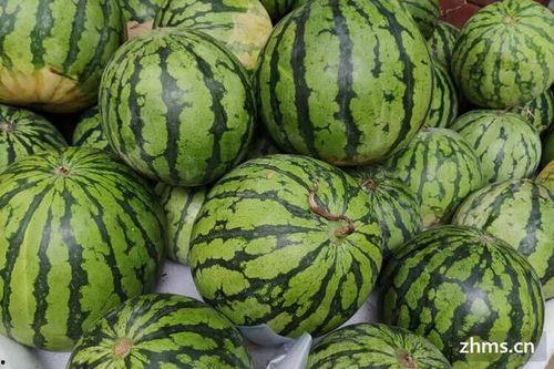 麒麟瓜大黑籽可以吃吗,揭秘可食用之谜