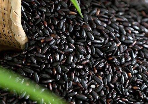 黑米和吊瓜可以一起吃么,健康搭配，美味共享