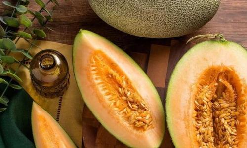 三亚哈密瓜今日价,价格行情一览”