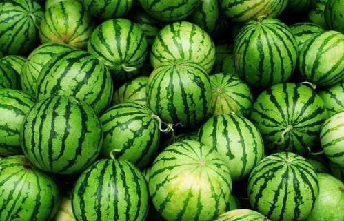 热门吃瓜今日必吃