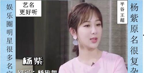 网名明星网红有哪些,盘点当红明星网红的璀璨风采