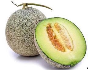 上热门金海阳网纹瓜,品味夏日清新，探寻瓜果新风尚