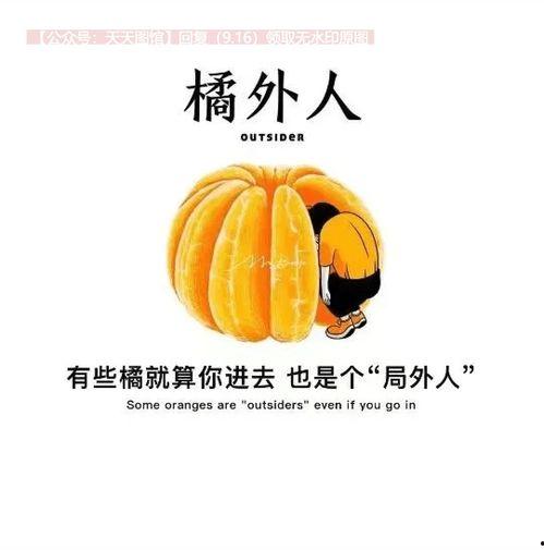 抖音瓜热门瓜社会瓜,揭秘社会热点背后的故事