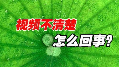 抖音瓜热门瓜社会瓜,揭秘社会热点背后的故事