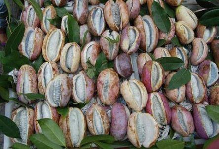 八月瓜热门视频在线播放,精彩瞬间回顾