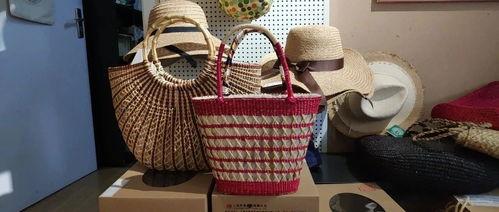 明星网红邻居小说阅读,明星网红的邻里情缘