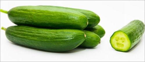 上热门瓜茬萝卜,探寻农村种植新风尚