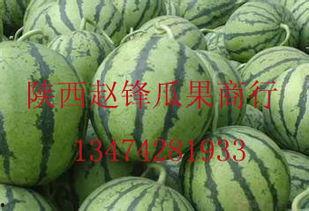 东方哈密瓜今日价格行情,价格波动解析