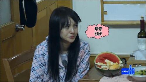 明星网红推荐的早餐,明星同款早餐，开启活力满满的一天