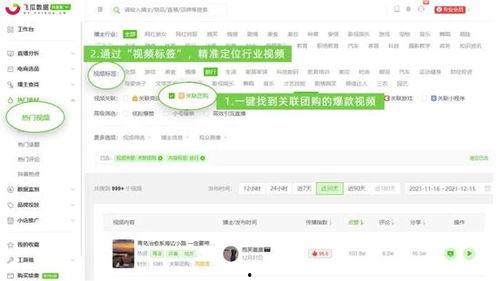 飞瓜数据热门视频
