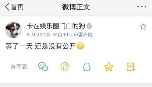 热门爆料吃瓜,神秘事件背后真相大揭秘！