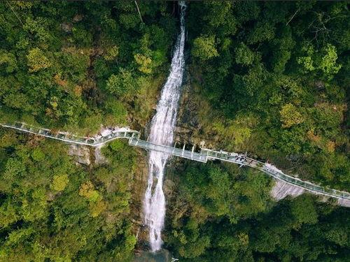 景区四月份热门话题,探寻春日景区新风尚