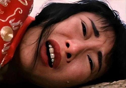 李华月电影,光影交织的银幕传奇