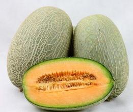 哈密瓜今日价格行情最新,哈密瓜价格波动解析