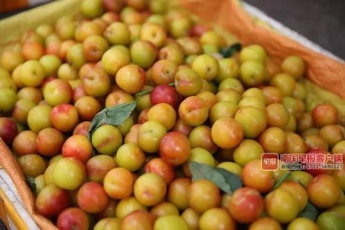 往年热门吃瓜事件有哪些