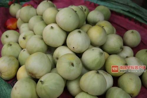 往年热门吃瓜事件有哪些