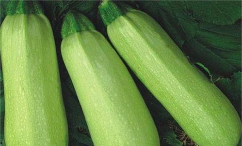 上海热门吃瓜事件真相,真相背后的惊人内幕