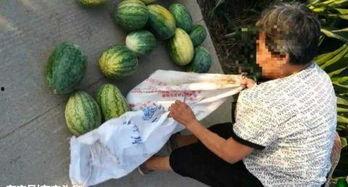 邯郸近期热门吃瓜事件,揭秘近期爆红吃瓜事件背后的真相