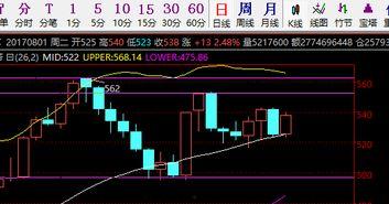 哈密瓜今日特价行情分析,品质之选，价格实惠，尽享夏日清凉