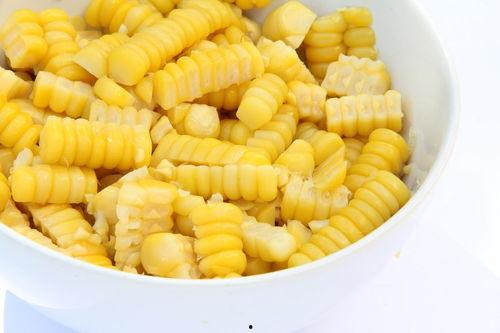 漯河吊瓜今日价格表最新,今日行情一览”