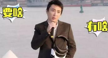 王思聪热门话题,揭秘娱乐圈“国民老公”的商界传奇与争议瞬间