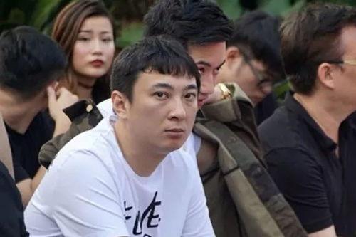王思聪热门话题,揭秘娱乐圈“国民老公”的商界传奇与争议瞬间