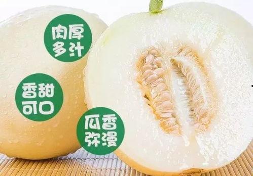 热门瓜抖音瓜,揭秘网络红人的崛起与争议